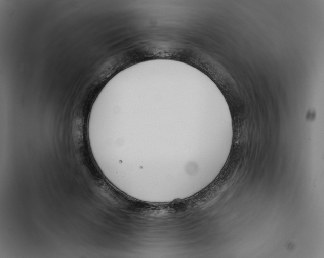 X0000102510646200809051411