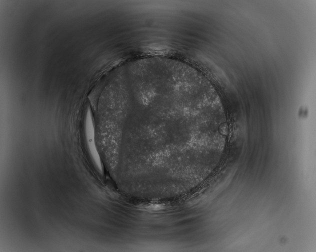 X0000102510647200809051411