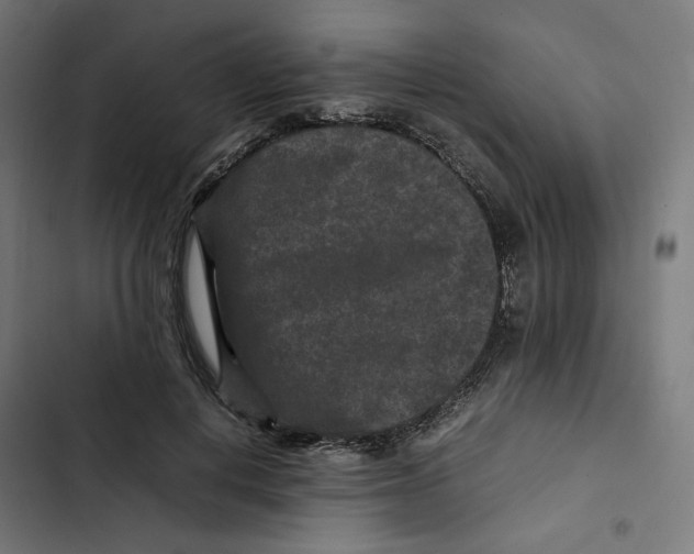 X0000102510648200809051411