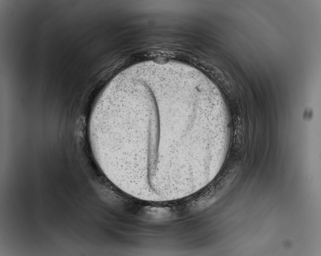 X0000102510649200809051411