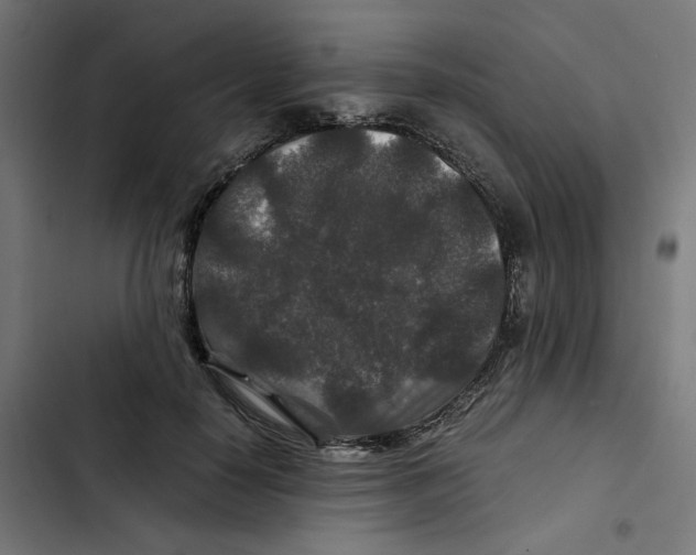 X0000102510650200809051411