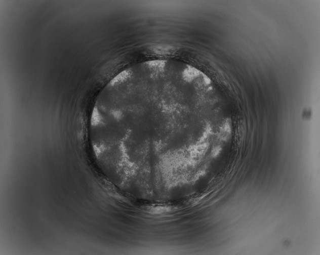 X0000102510651200809051411