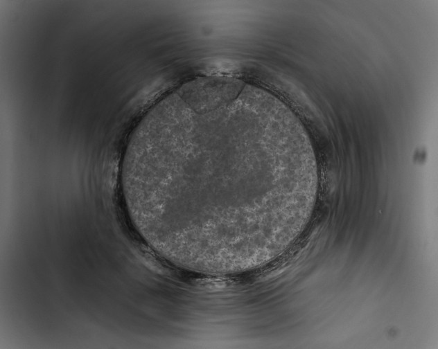 X0000102510652200809051411
