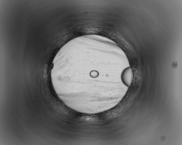 X0000102510655200809051411