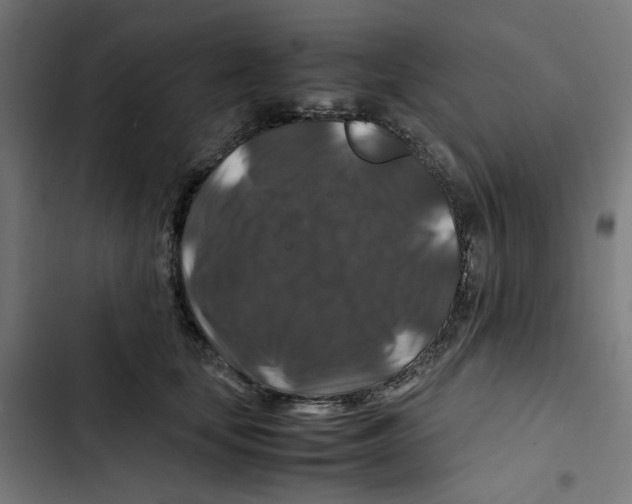 X0000102510659200809051411