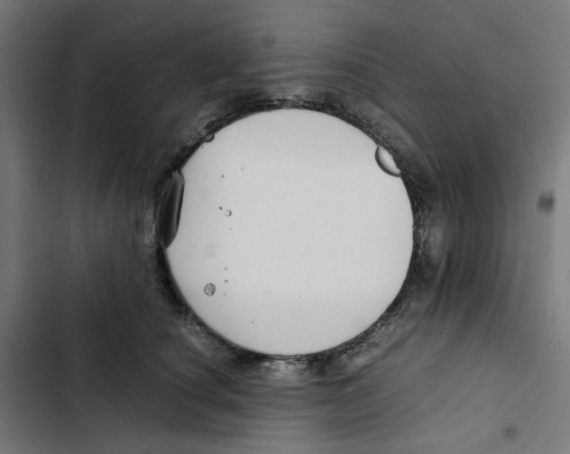 X0000102510660200809051411