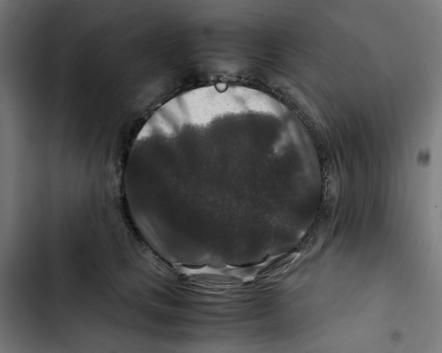 X0000102510661200809051411