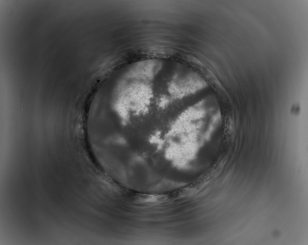 X0000102510663200809051411