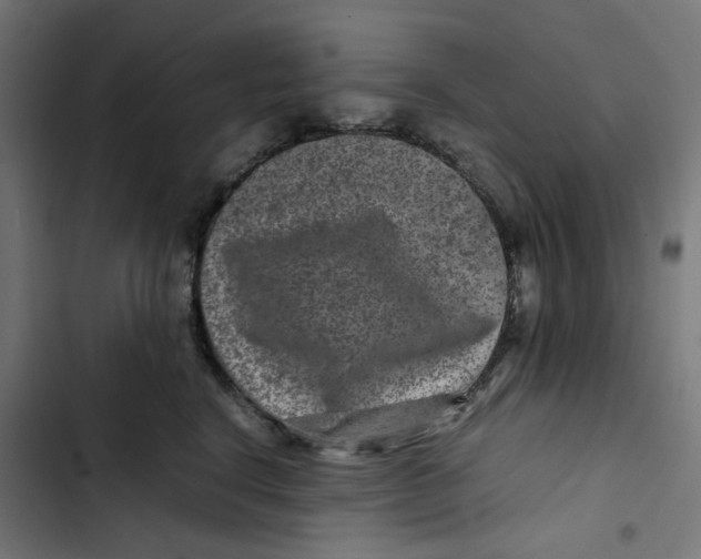 X0000102510664200809051411