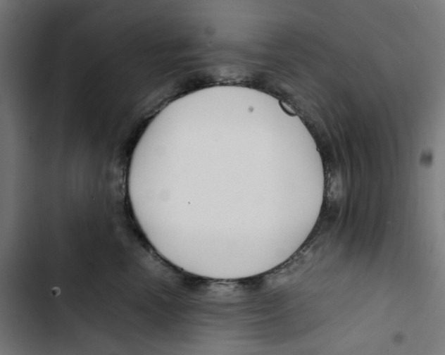 X0000102510666200809051411