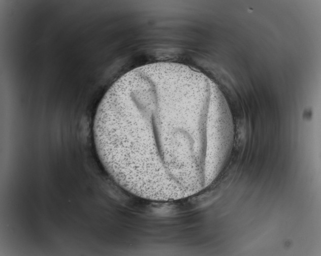 X0000102510667200809051411
