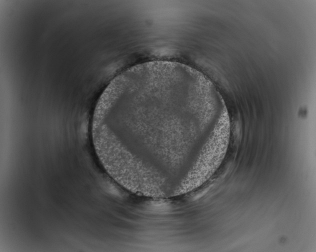 X0000102510668200809051411
