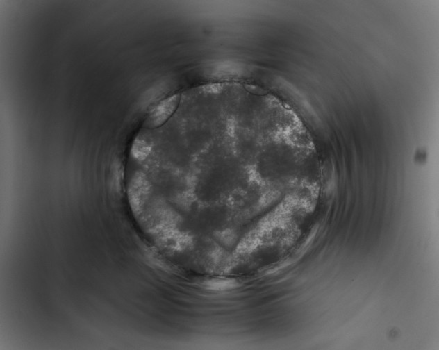X0000102510669200809051411