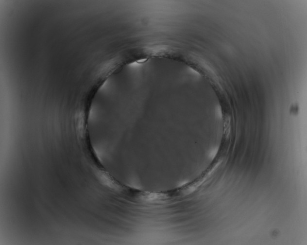 X0000102510670200809051411
