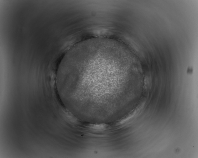 X0000102510671200809051411