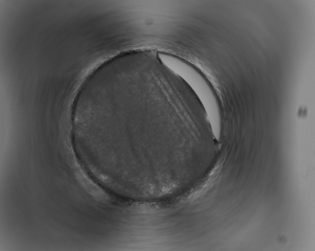 X0000102510673200809051411