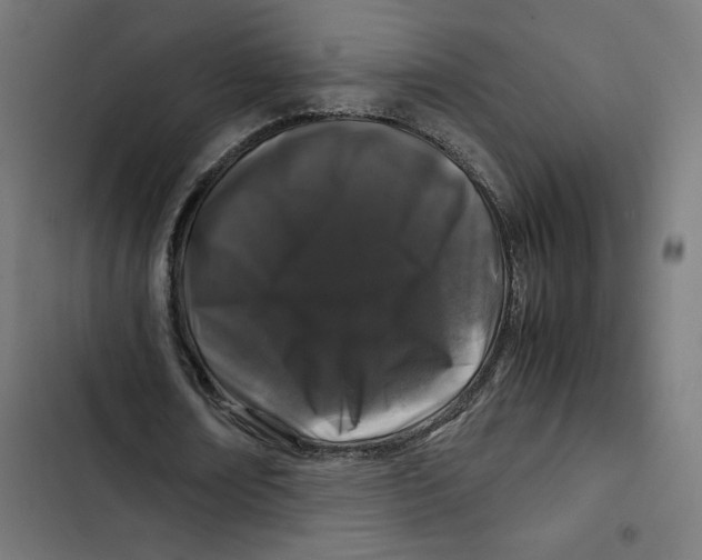 X0000102510674200809051411