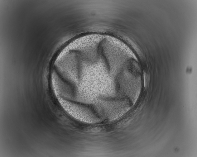 X0000102510675200809051411