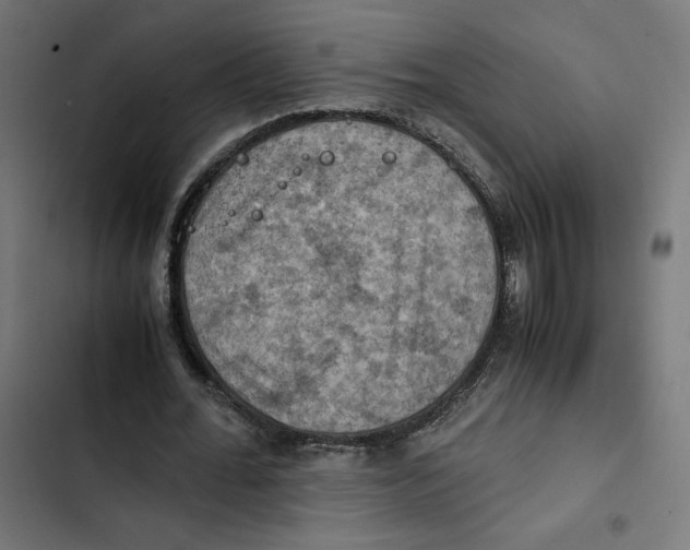 X0000102510676200809051411