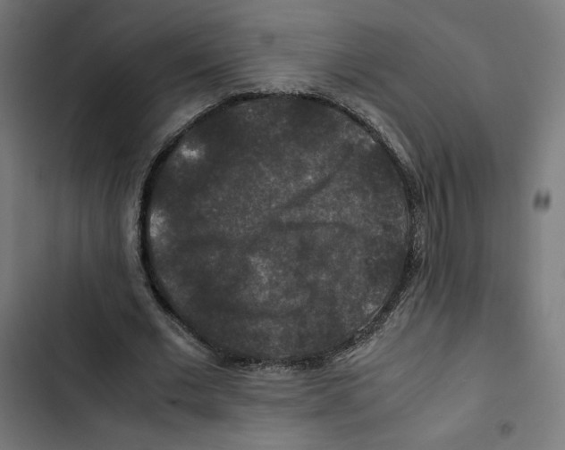 X0000102510677200809051411