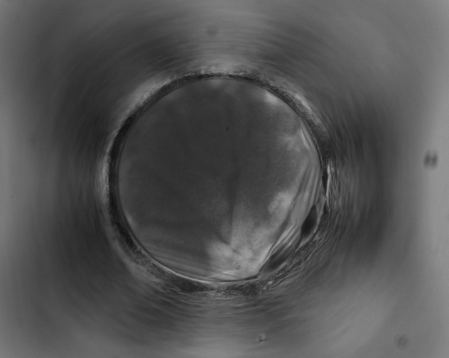 X0000102510678200809051411