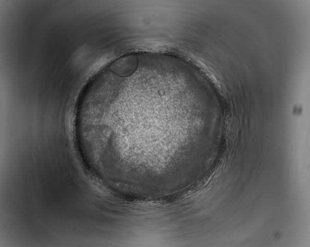 X0000102510679200809051411