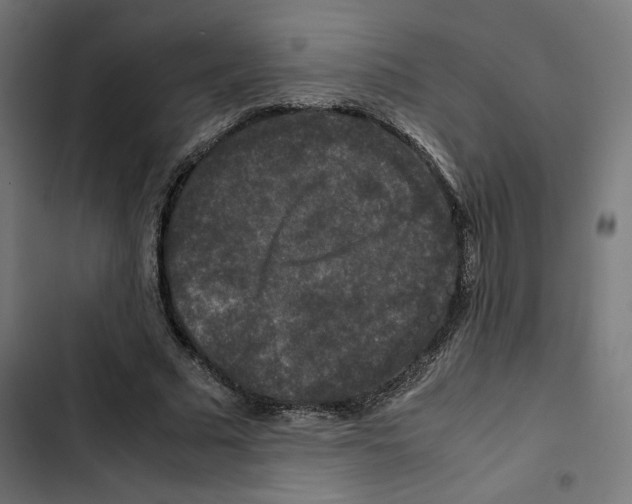 X0000102510681200809051411