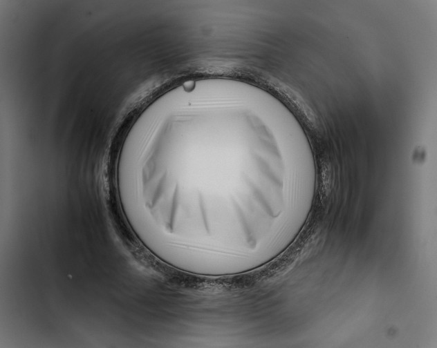 X0000102510682200809051411