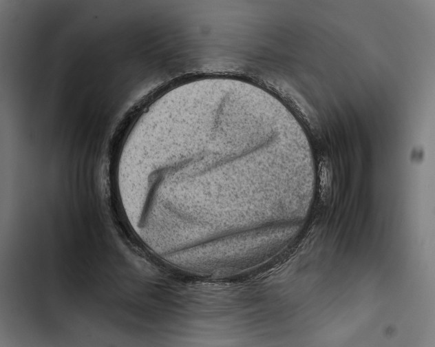 X0000102510684200809051411