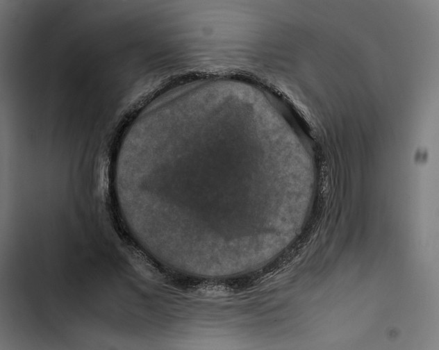 X0000102510685200809051411