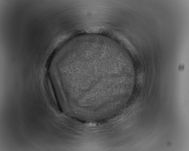 X0000102510687200809051411