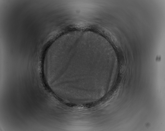 X0000102510689200809051411