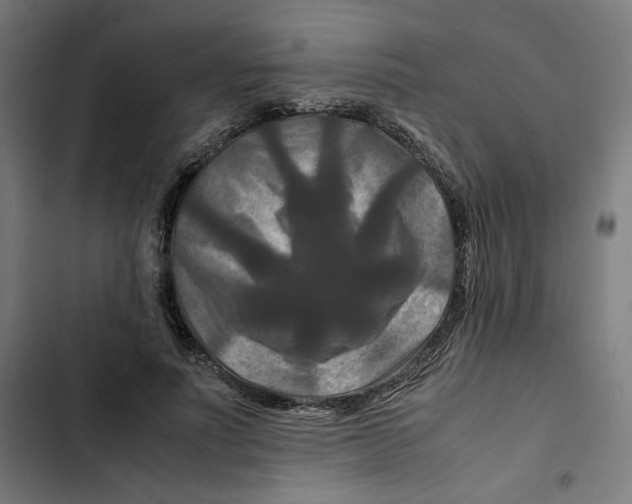 X0000102510691200809051410