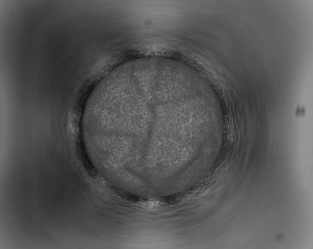 X0000102510695200809051410