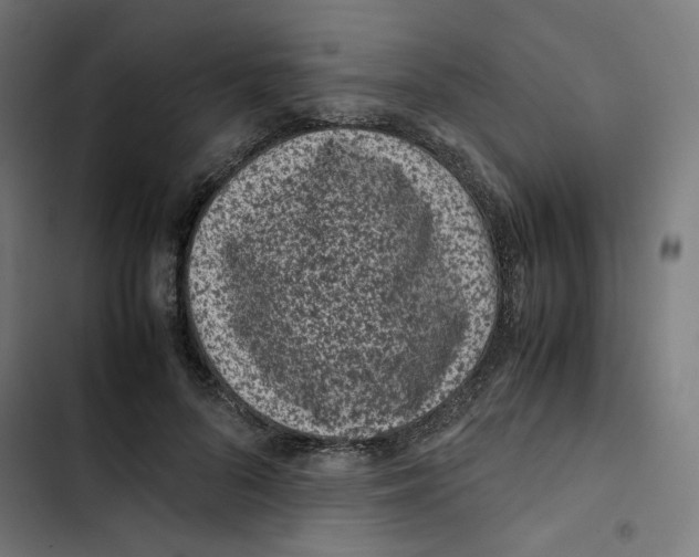 X0000102510696200809051410