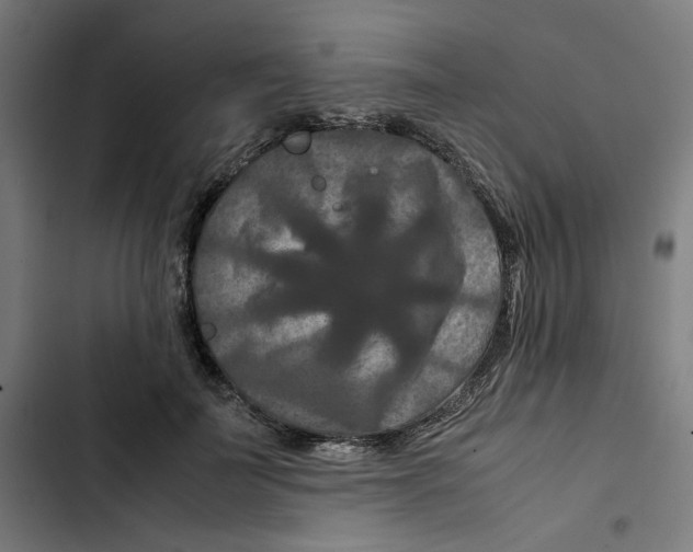 X0000102510699200809051410