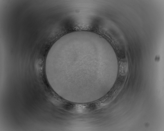 X0000102510701200809051410