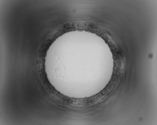 X0000102510705200809051410
