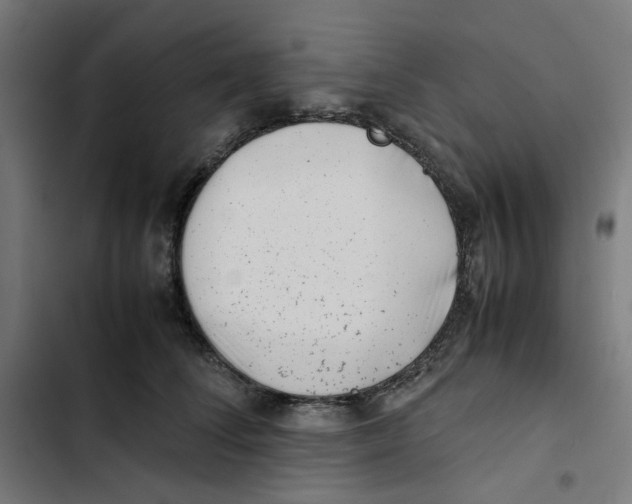 X0000102510708200809051410
