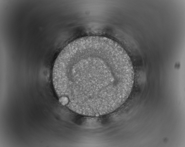 X0000102510709200809051410
