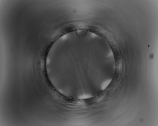 X0000102510715200809051410