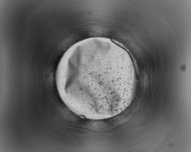 X0000102510716200809051410