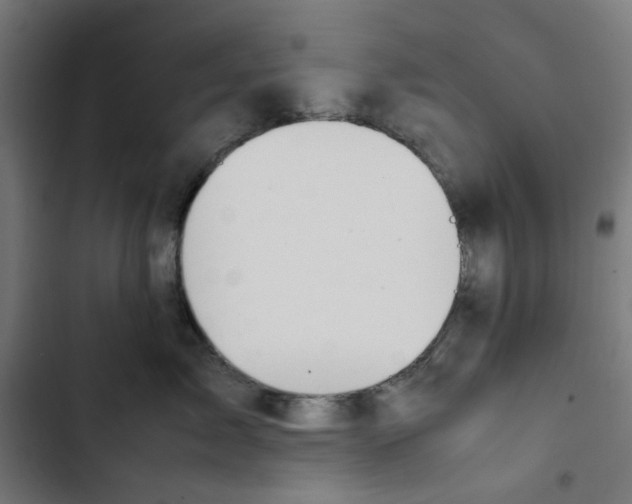 X0000102510717200809051410