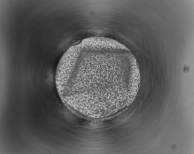 X0000102510720200809051410