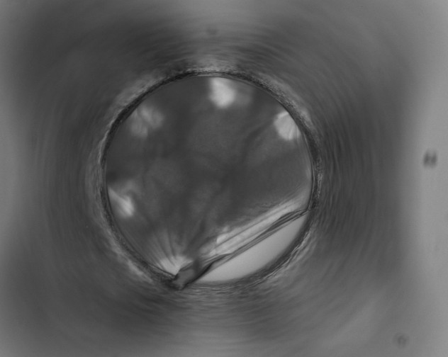 X0000102510721200809051409