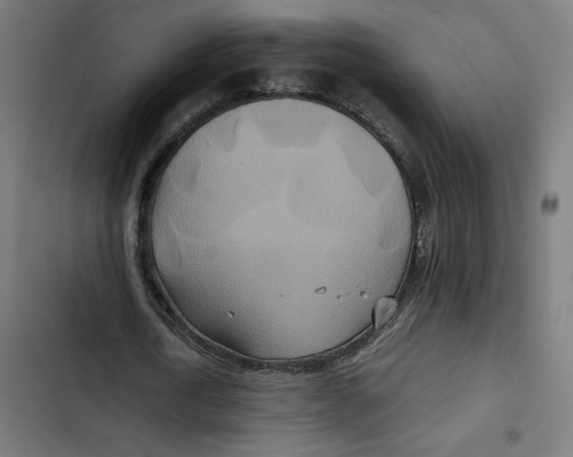 X0000102510722200809051409
