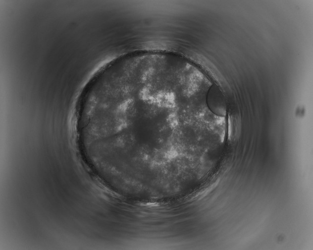 X0000102510723200809051409