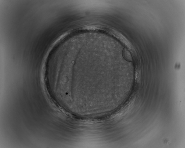 X0000102510724200809051409