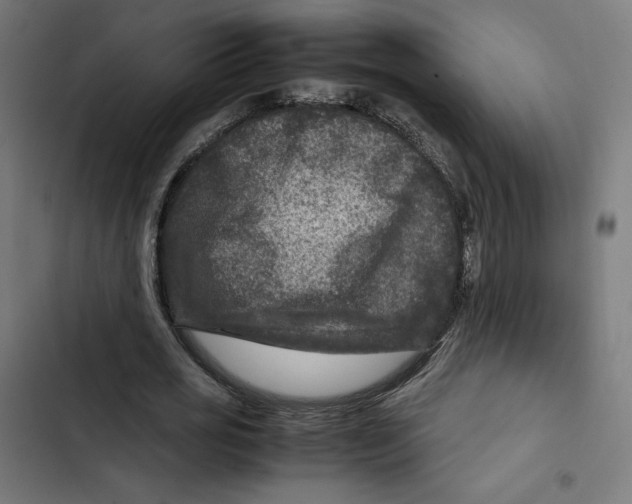 X0000102510725200809051409
