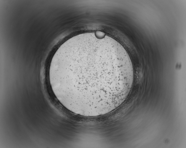 X0000102510726200809051409